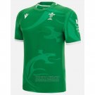 Wales Rugby Jersey 2022-2023 Away