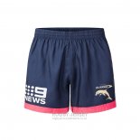 Shorts Dolphins Rugby 2026