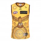 Jersey Hawthorn Hawks AFL 2023 Indigenous