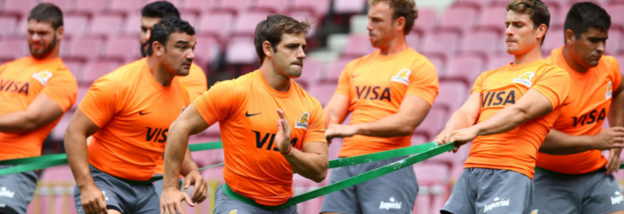 buy Jaguares rugby jerseys